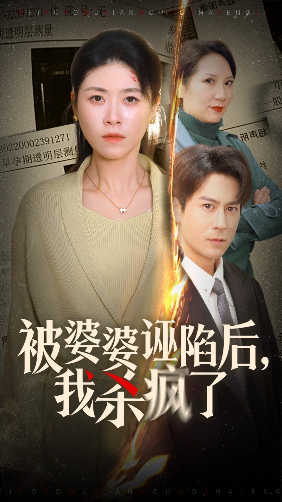 被婆婆诬陷后我杀疯了 